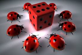 Casino7